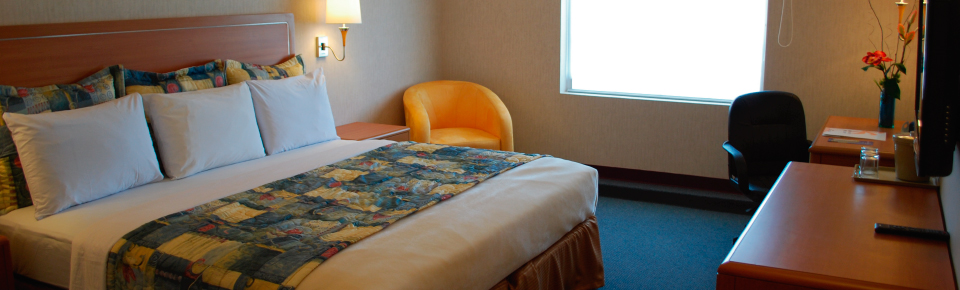 Habitación Ejecutiva Sencilla - Rio Vista Inn